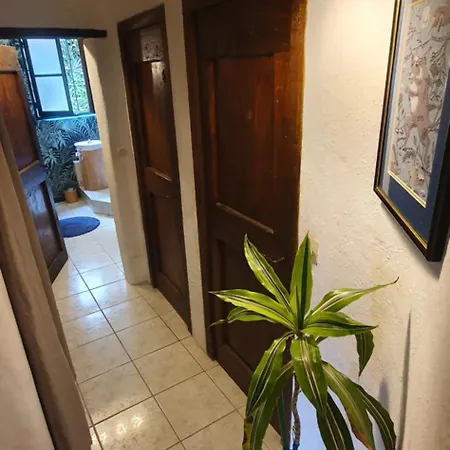 Villa Adorable Maison Cevenole Bez-et-Esparon