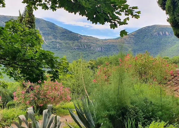 Villa Adorable Maison Cevenole